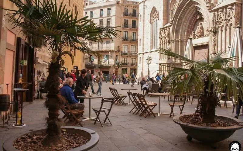 Nice Apartment In The Middle Of Born Barcelona 0*,